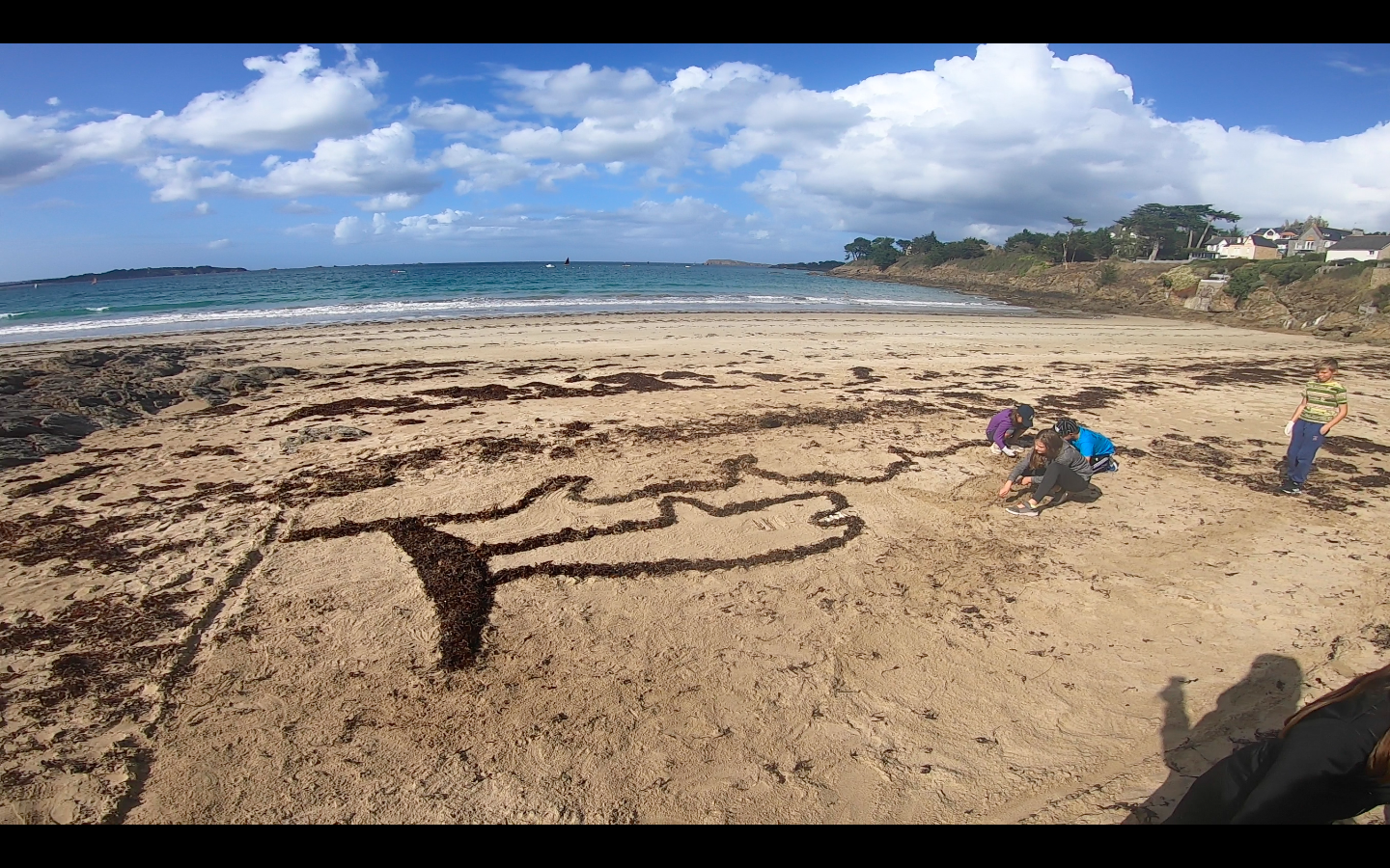 Documents Collège Louis de Chappedelaine